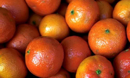 Les oranges, clémentines et mandarines sont riches en vitamine C