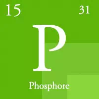 2lément phosphore