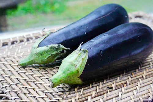 Le mois de mai est le début de la saison de l'aubergine.