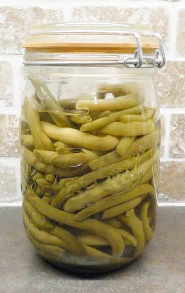 Conserve d'haricots verts du jardin 