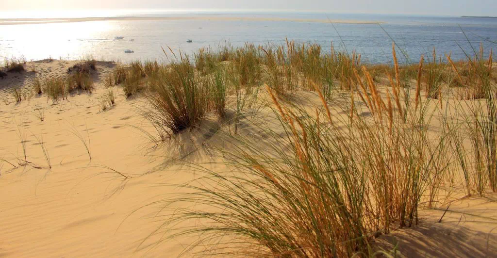 Dune du Pyla à l'ouest du département