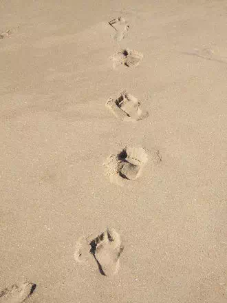 Plage de l'Hérault