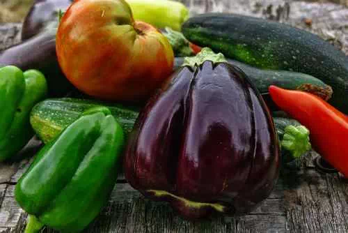 Récoltes de légumes bio