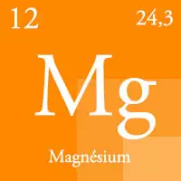 le magnesium