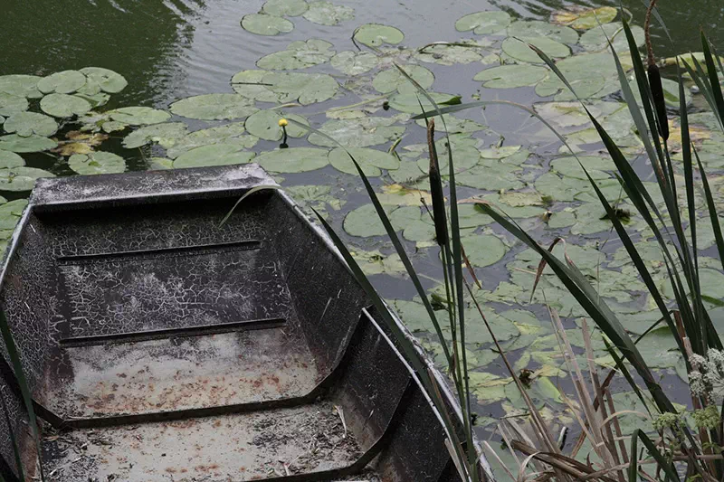 marais poitevin dans les Deux-Sèvres