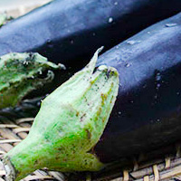 Le mois de mai est le début de la saison de l'aubergine.