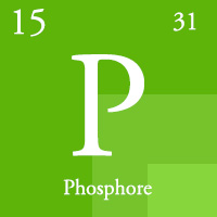élément phosphore