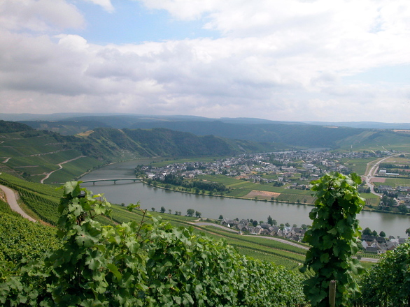 Rivière la Moselle