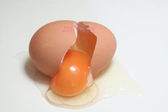 L’œuf contient de la vitamine B12
