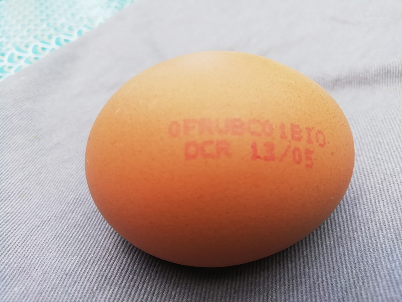 Des oeufs