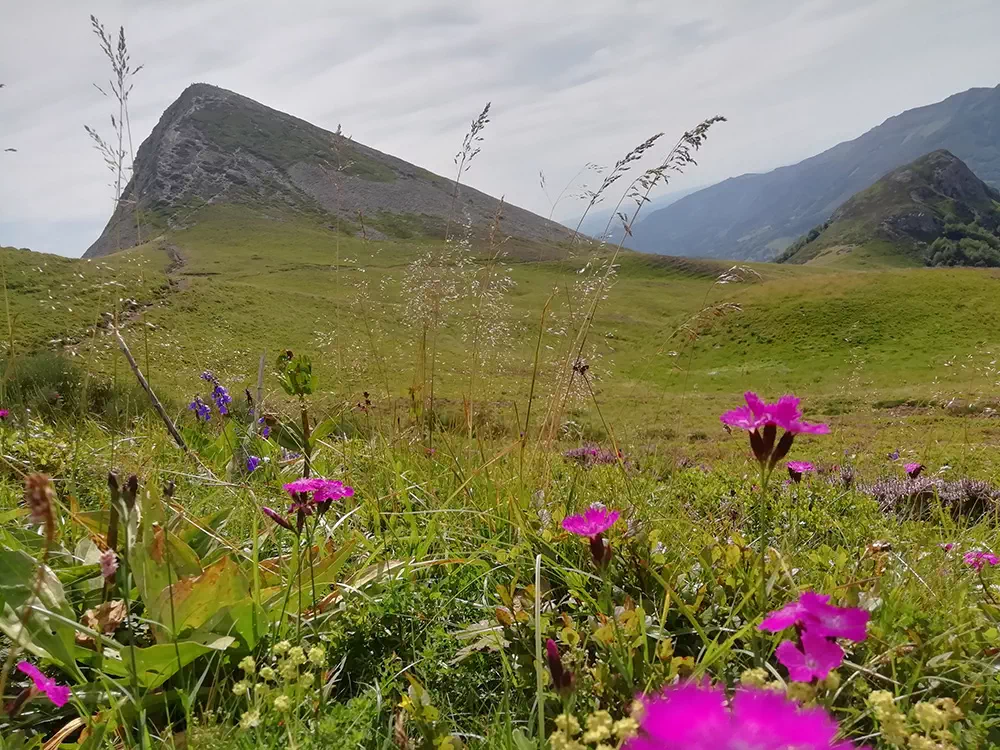 Le puy Griou dans le Cantal