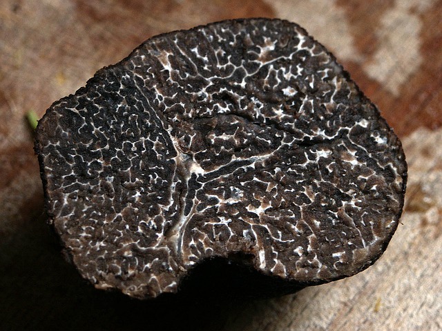 belle truffe noire