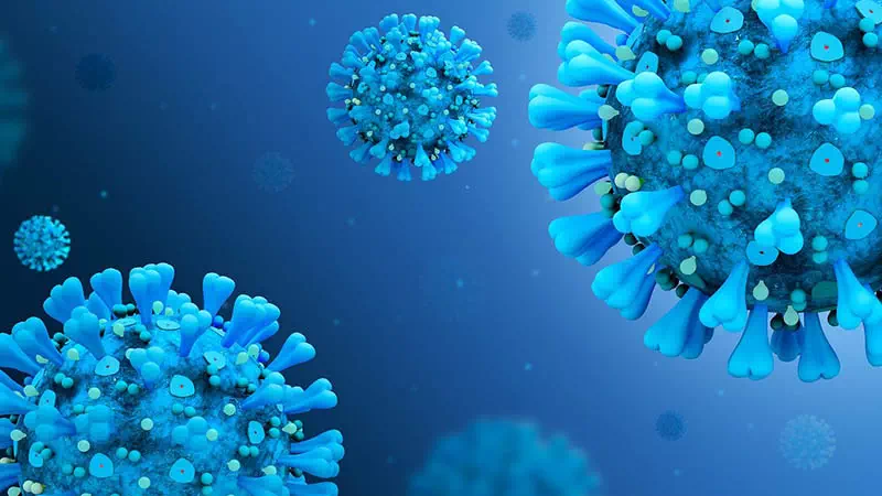 Virus et immunité
