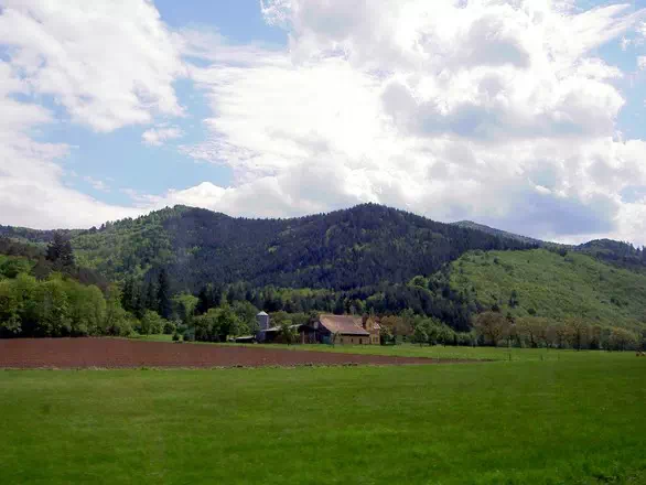 Paysage des vosges